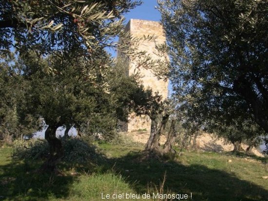 1328_manosque_le_mont_dor.jpg