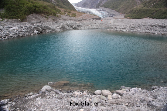 1281 fox glacier