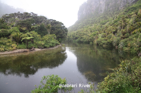 1402 pororari river