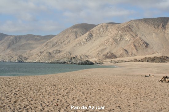 1128_pan_de_azucar.jpg