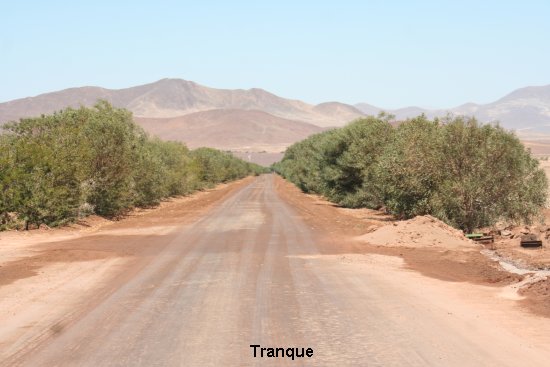 1419_tranque.jpg