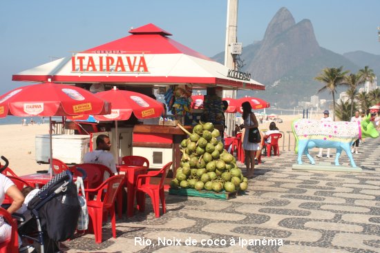 1446a_rio_ipanema.jpg