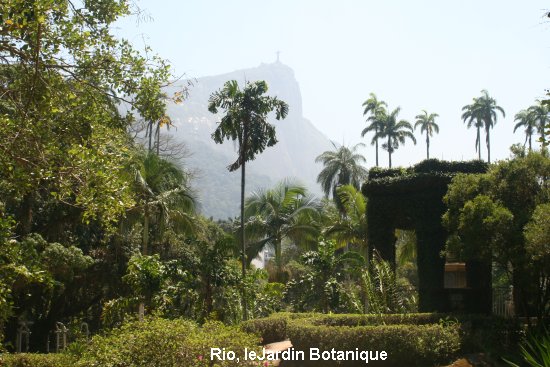 1475_rio_le_jardin_botanique.jpg