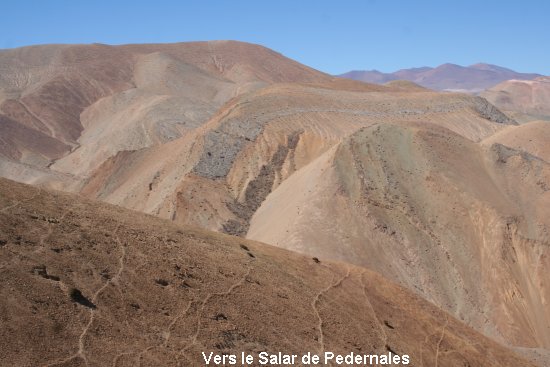 1552_vers_le_salar_de_pedernales.jpg