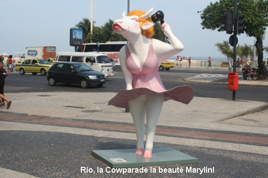 1592_rio_cowparade.jpg