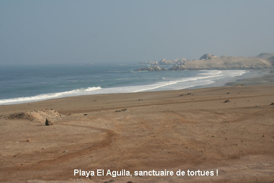 2293_playa_el_aguila.jpg