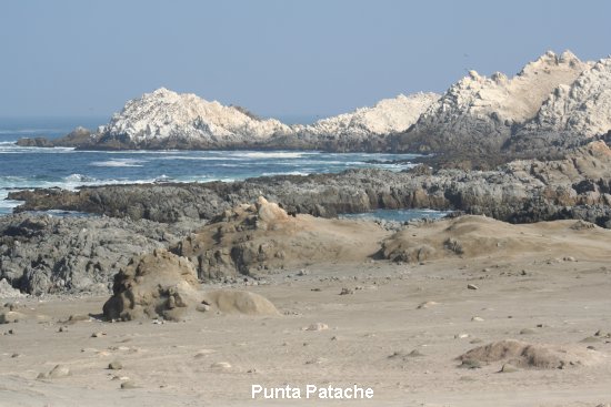 2299_punta_patache.jpg