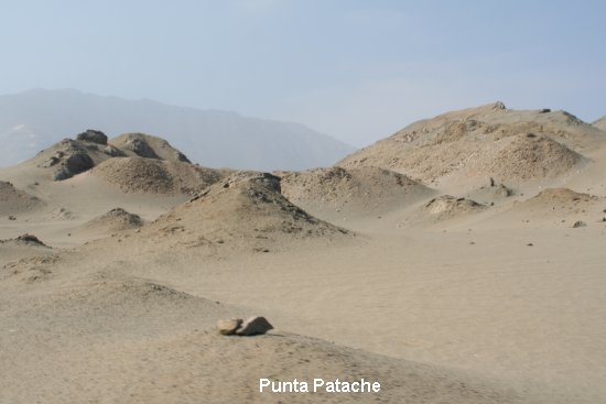 2311_punta_patache.jpg