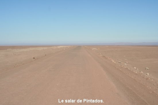 2635_le_salar_de_pintados.jpg