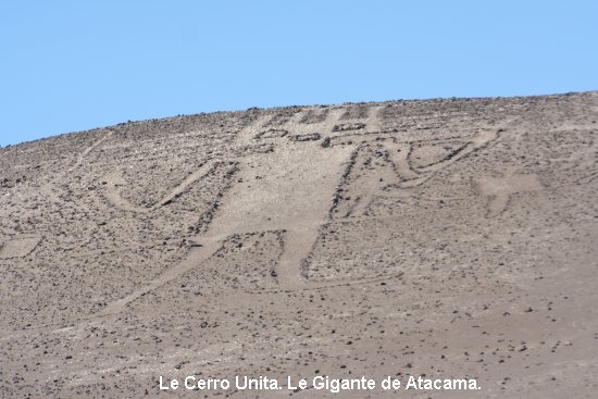 2736_le_gigante_de_atacama.jpg