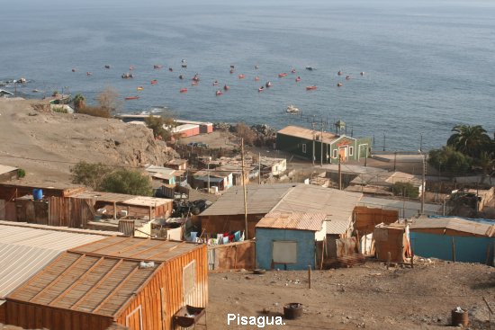 2793__pisagua.jpg