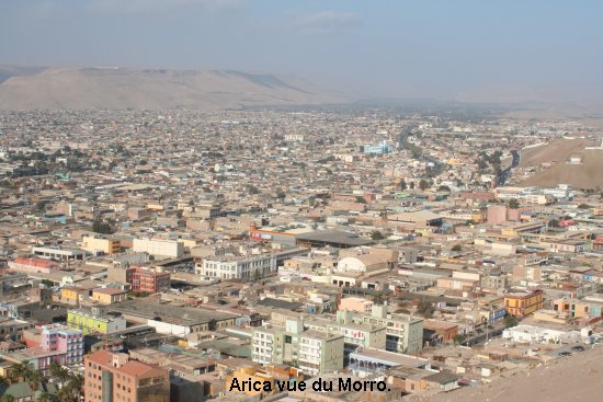 2943_arica.jpg