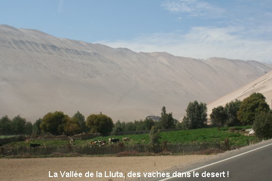 2971_valle_de_la_lluta.jpg