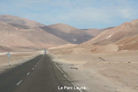 2979_parc_de_lauca.jpg