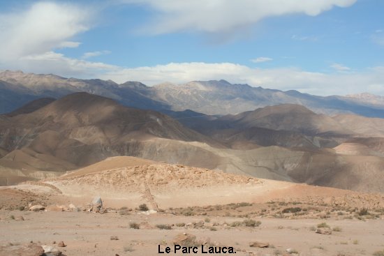 2986_parc_de_lauca.jpg