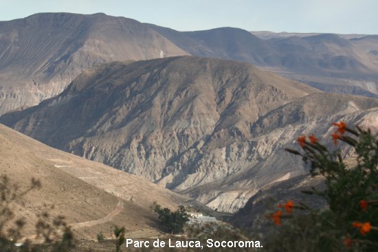 3007_parc_de_lauca.jpg