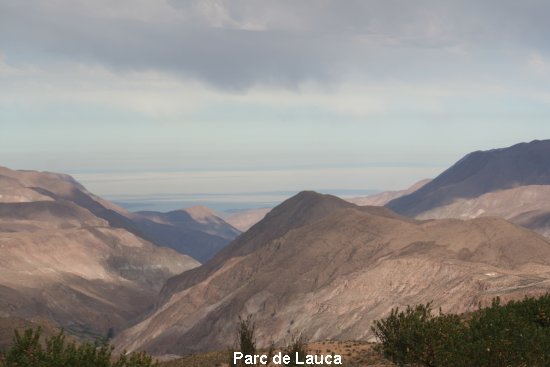 3013_parc_de_lauca.jpg