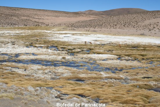 3048_parc_de_lauca.jpg