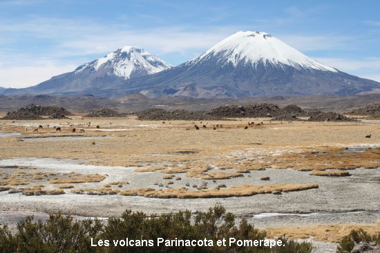 3066_parc_de_lauca.jpg