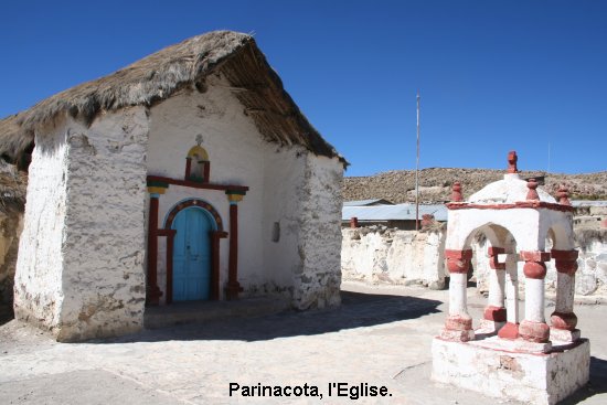 3083_parinacota.jpg