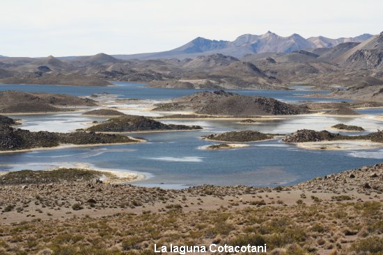 3094_parc_de_lauca.jpg