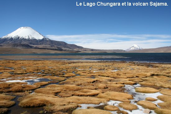 3106_parc_de_lauca.jpg