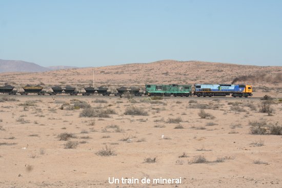 768_de_huasco__copiapo.jpg