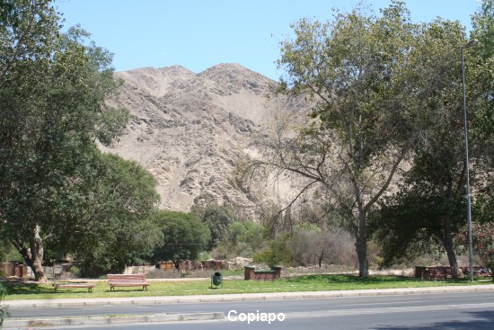 803_copiapo.jpg