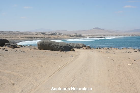 919_santuario_naturaleza.jpg