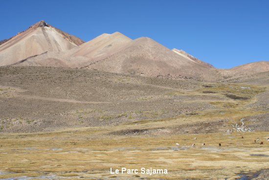 0009_parc_sajama.jpg