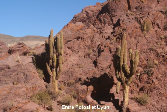 0456_vers_uyuni.jpg