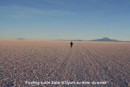 1104_le_salar.jpg