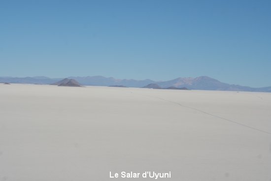 1121_le_salar.jpg