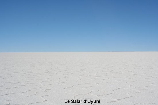 1140_le_salar.jpg