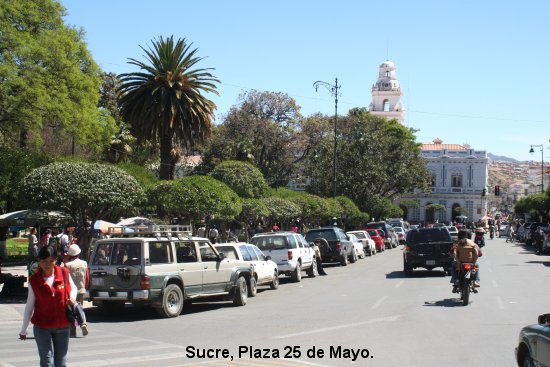 1200_sucre.jpg