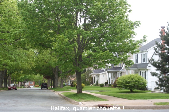 0031_halifax.jpg