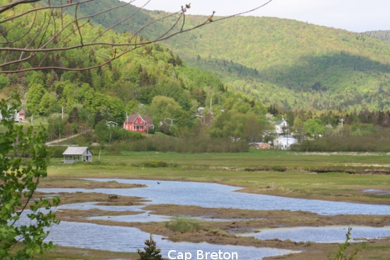 0120_cabot_trail.jpg