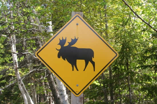 0125_cabot_trail.jpg