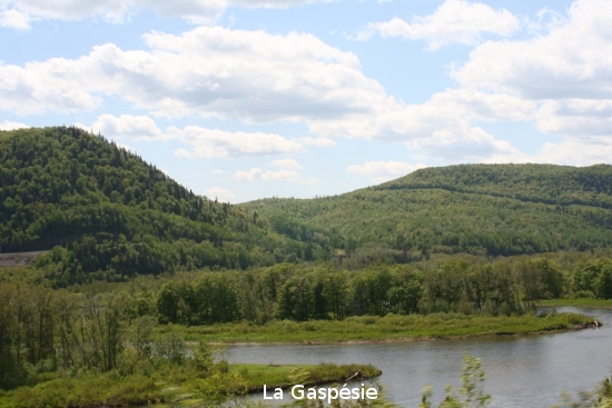 0328_la_gaspsie.jpg