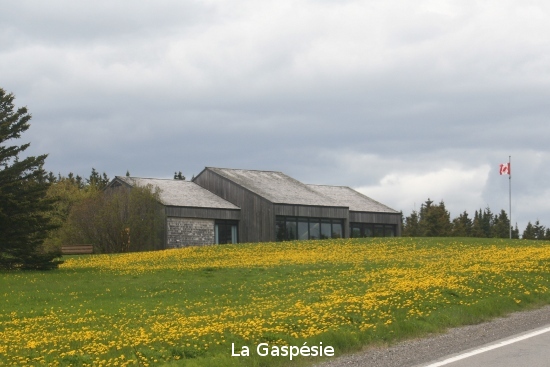 0569_la_gaspsie.jpg