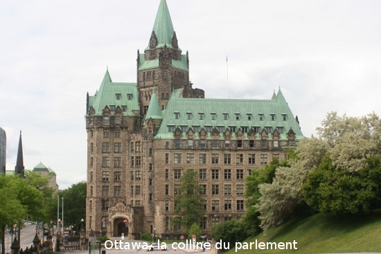 1143_ottawa.jpg