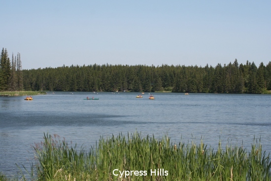 1538_cypress_hills.jpg