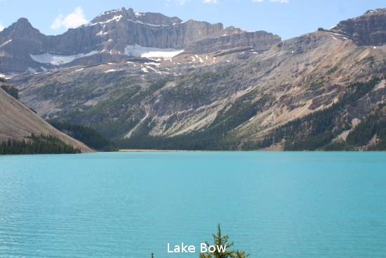 2176_bow_lake.jpg