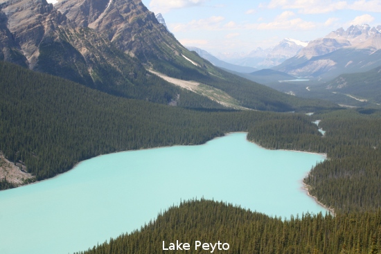 2191_peyto_lake.jpg