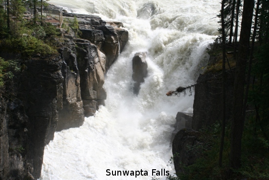 2304_sunwapta_falls.jpg