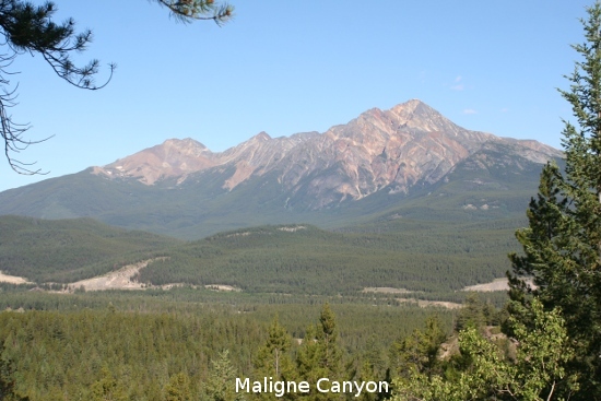 2371_maligne_canyon.jpg