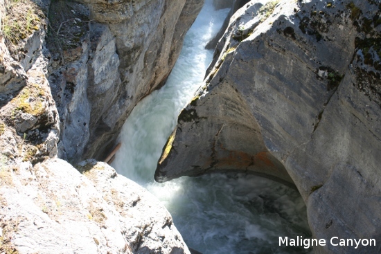 2377_maligne_canyon.jpg