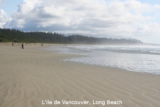 4966_vancouver_island.jpg