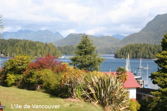 4972_vancouver_island.jpg