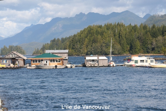 4974_vancouver_island.jpg